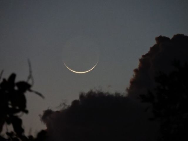 Lua nova