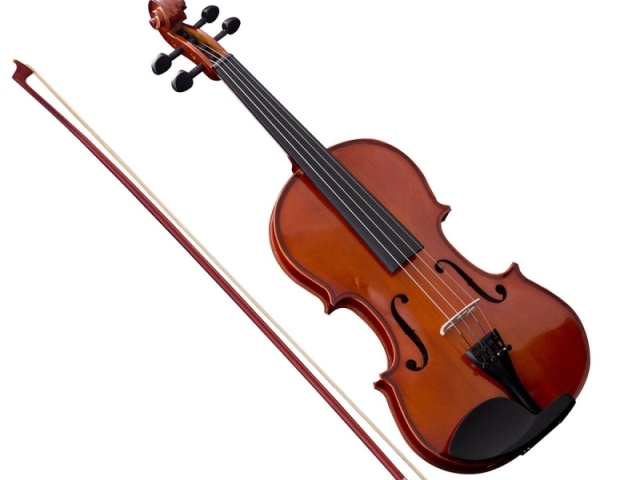 Violino