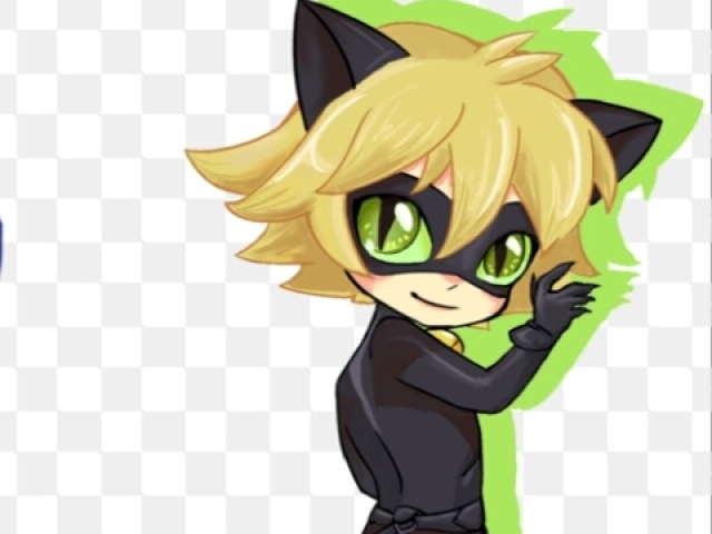 Cat noir sem dúvidas