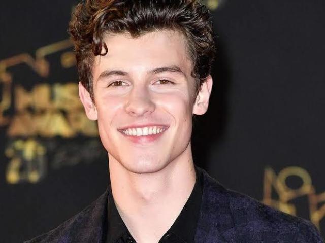 shawn mendes