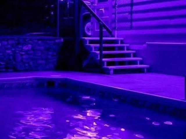 Roxo