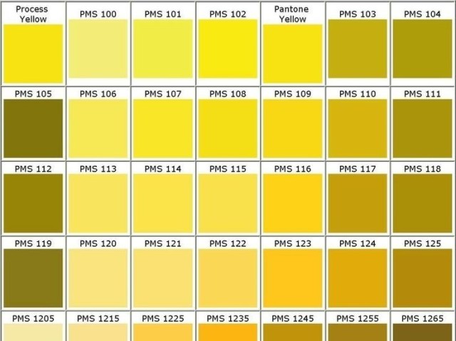 Amarelo, rosa, roxo, laranja, vermelho, lilás, creme.