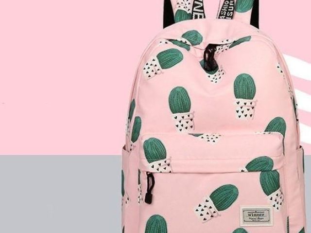 mochila de cacto no valor de 89 reais