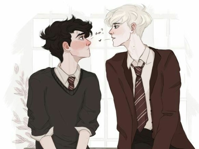 Qual casal de Harry Potter seriam seus pais