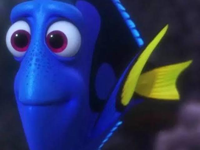 dory