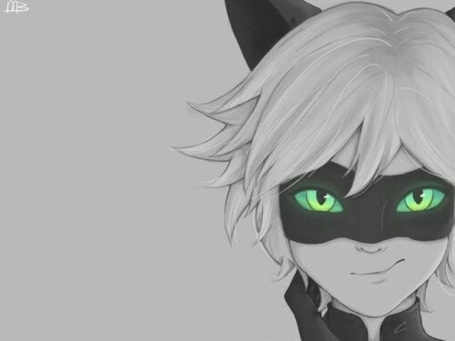 Chat noir🐱