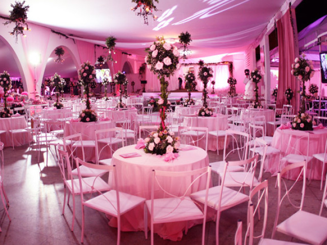 Festa rosa