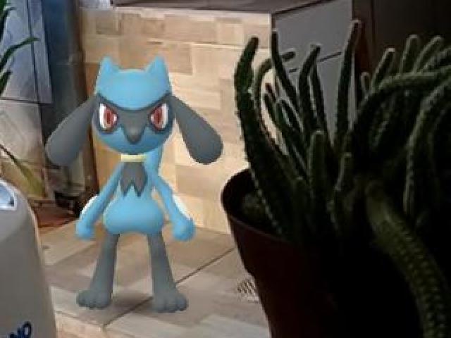 Riolu