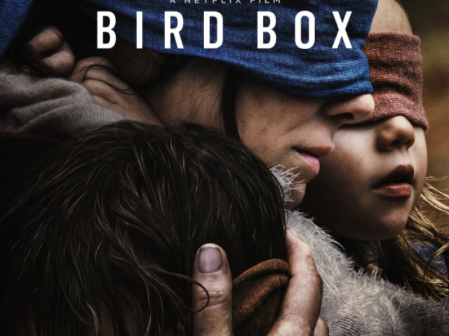 bird box