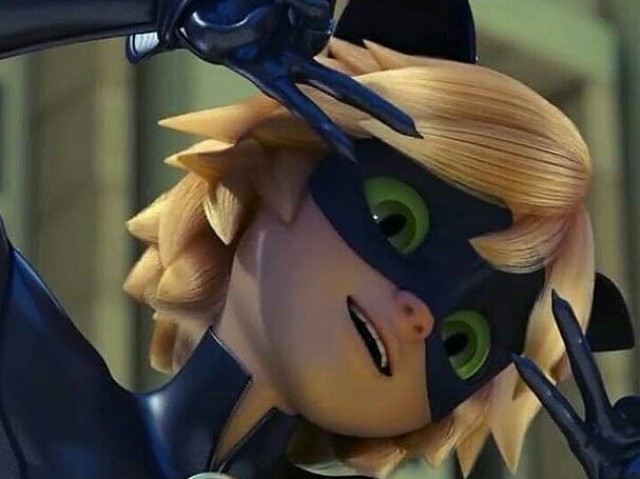 Você realmente conhece Cat Noir?