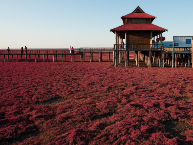 Praia. Formos à Red Beach, conversamos, tomamos sorvete e brincamos. Apreciamos o pôr do sol e... ah, foi tudo muito fofo e romântico.