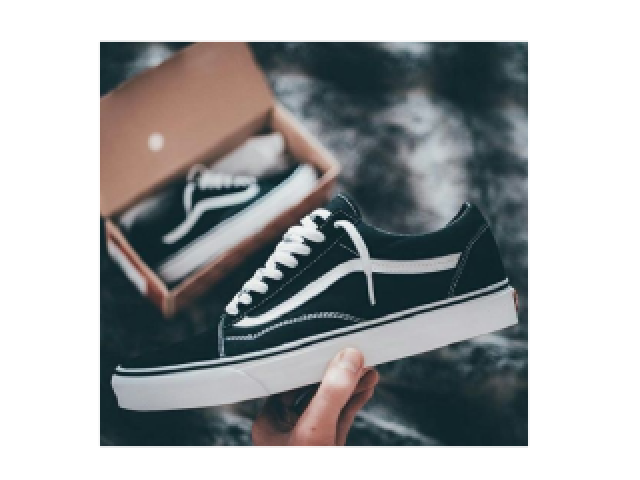 Vans Skatista