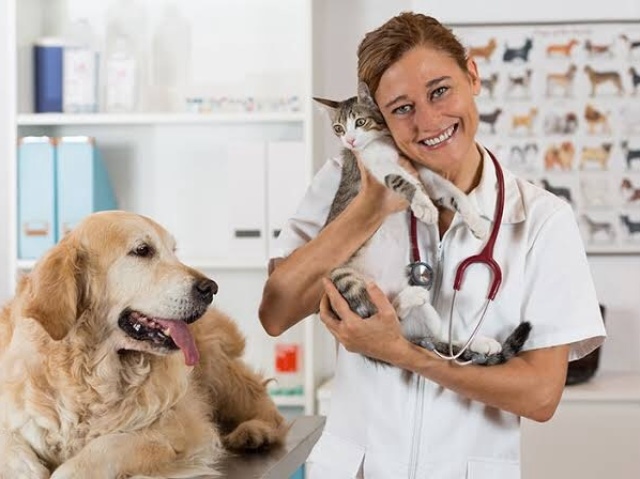 Veterinária!