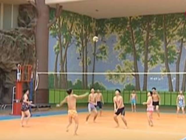 vôleiball