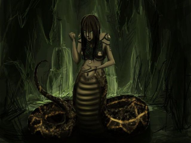 Equidna