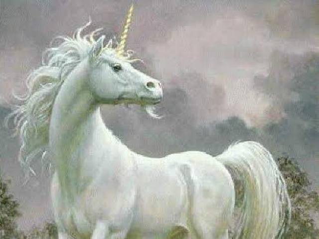 Unicórnio