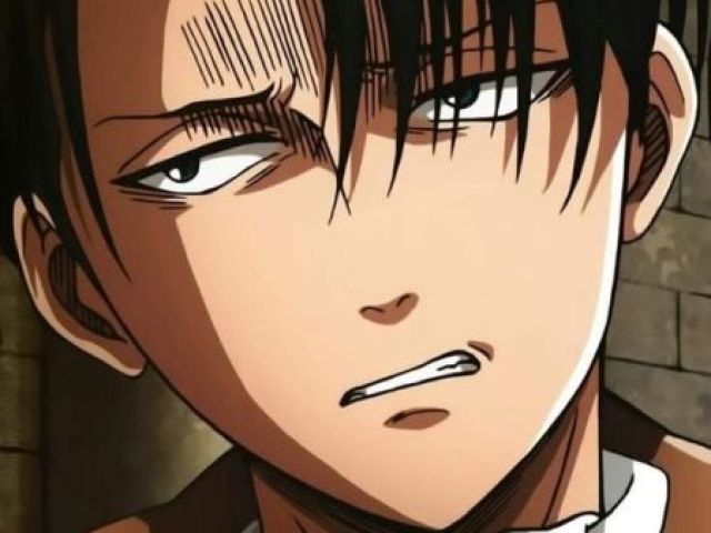 levi