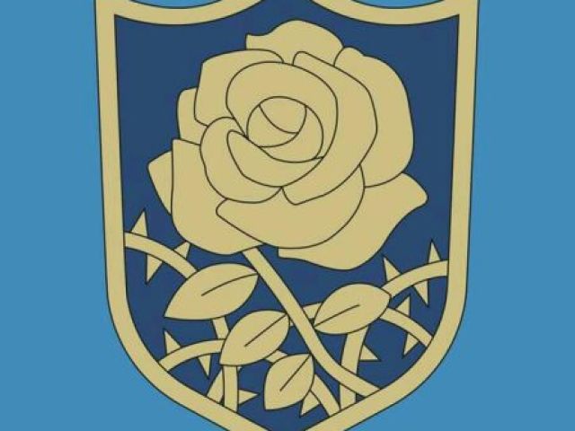 Rosa Azul