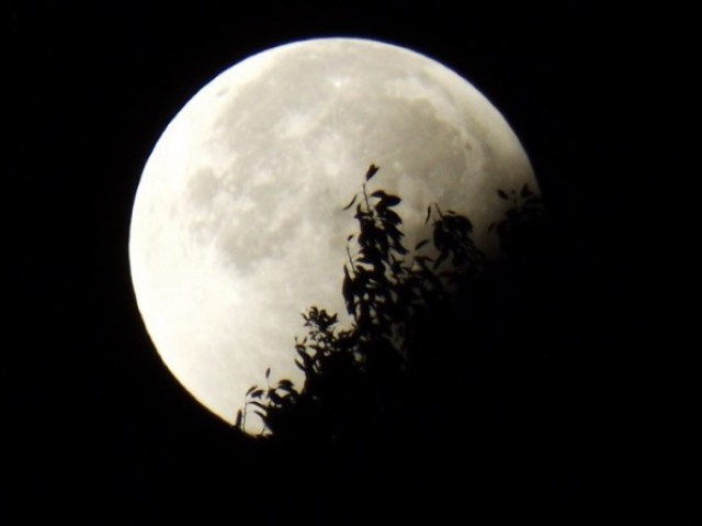 Qual fase da lua mais combina com você?