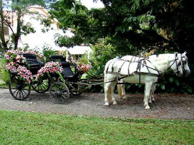 carruagem,por que sou princesa