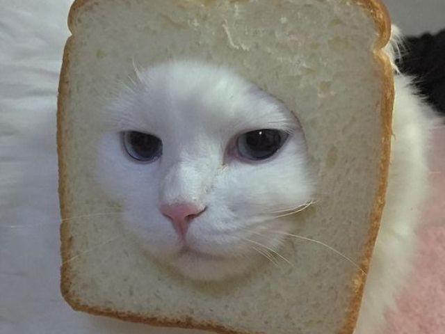 1/6