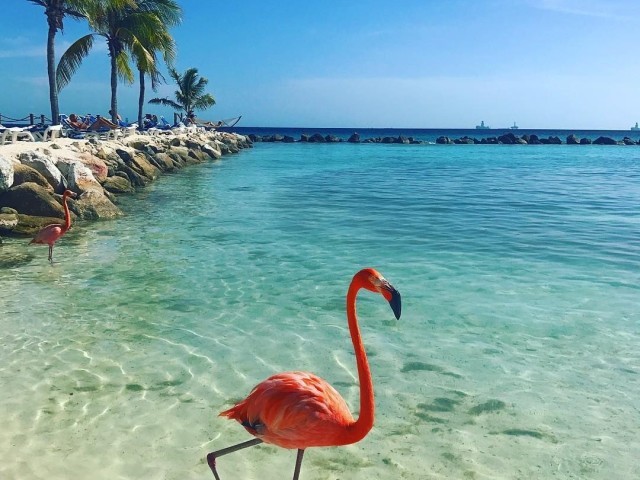 Caribe no México! 🌮🇲🇽