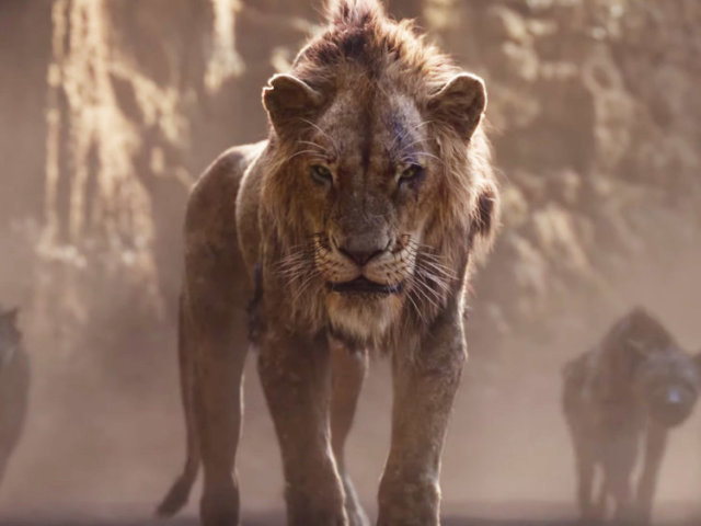 Scar