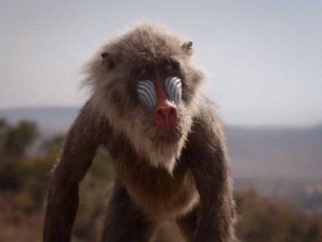 Rafiki