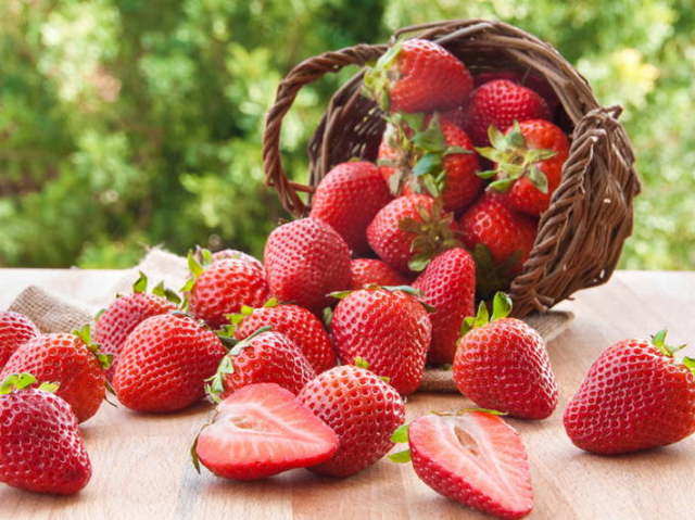 Morango