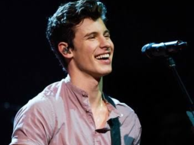 Será que você conhece o cantor Shawn Mendes?