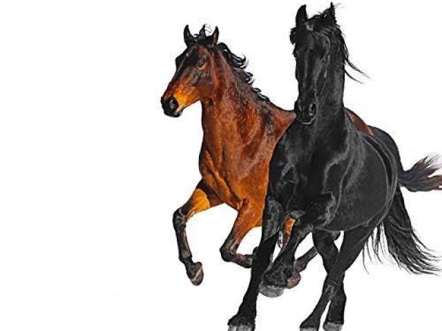 Old Town Road - Lil Nas X ft. Billy Ray Cyrus