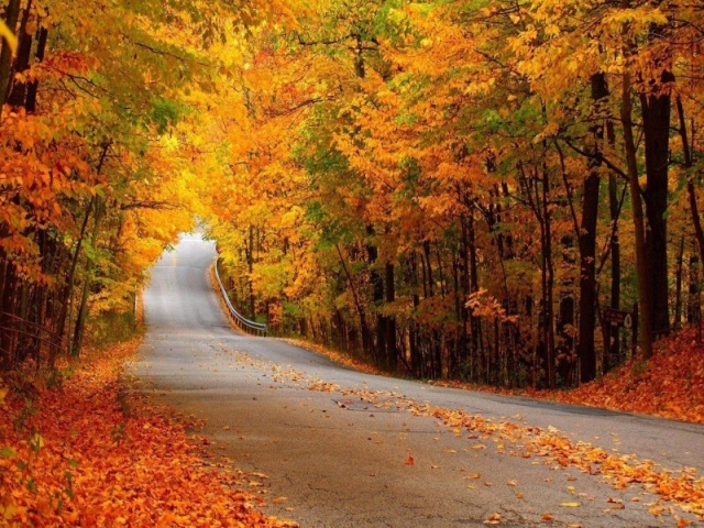 Eu procuraria caminhar pelos bosques, caminhar ajuda no bem estar principalmente dias ruins.