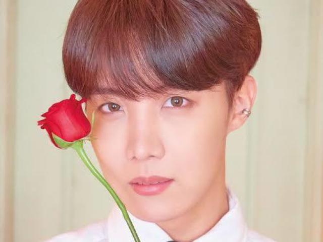 ° J - HOPE °