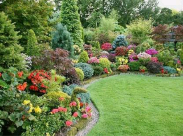 Quantas flores! Com certeza escolho esse jardim.