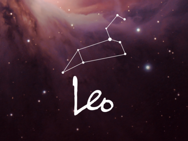 75% Leonino(a)