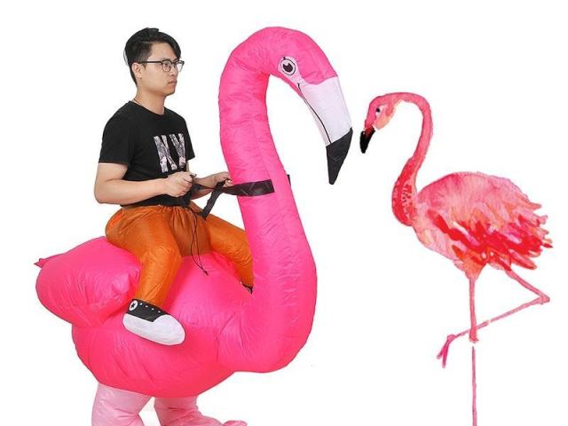 Flamingo