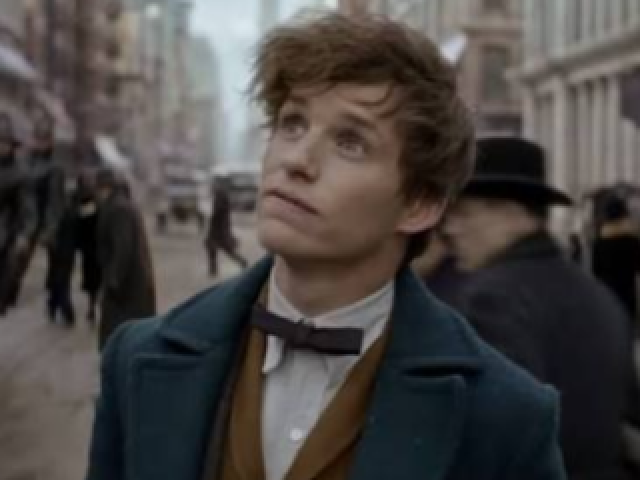 Newt Scamander