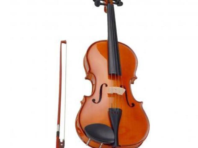 Violino