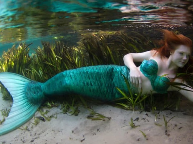 Qual espécie de sereia você é?