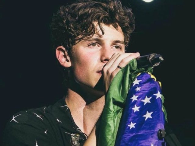 Você conhece Shawn Mendes?