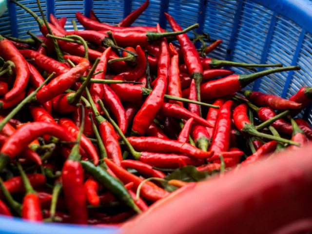 Pimenta