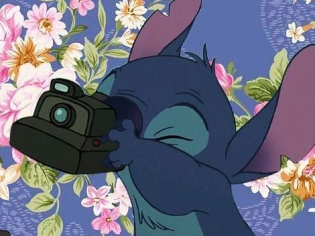 Stich e lilo