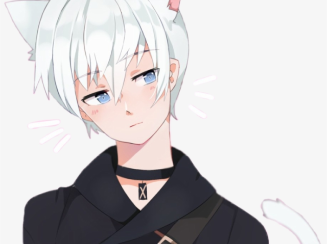 boy neko