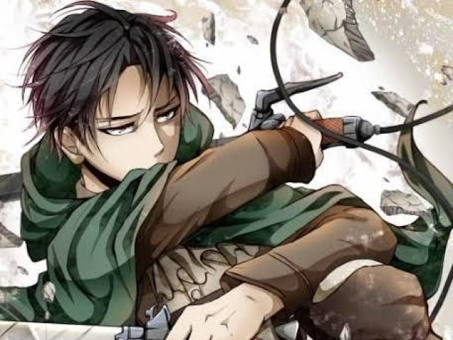 Levi