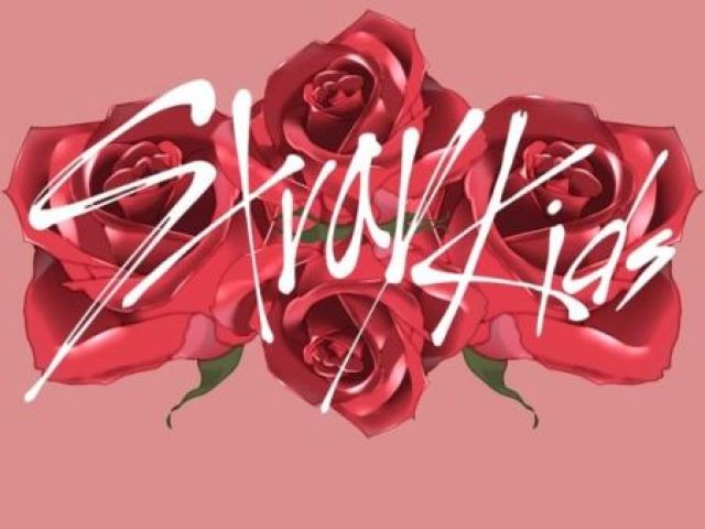 Qual membro do Stray Kids te pediria em namoro?