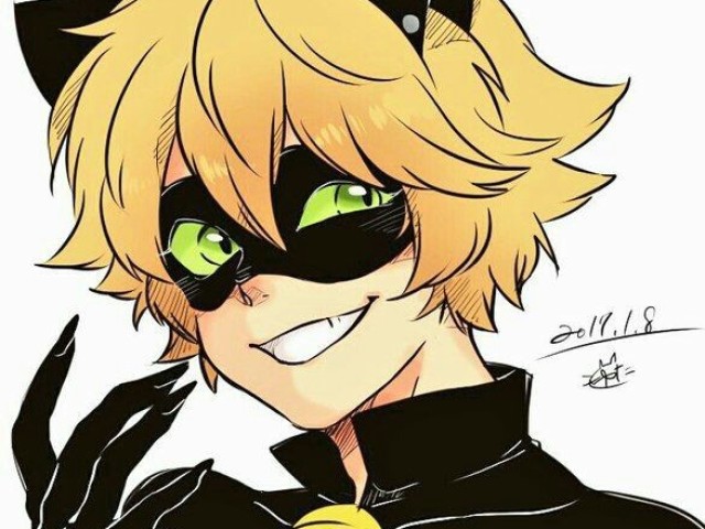 Chat Noir