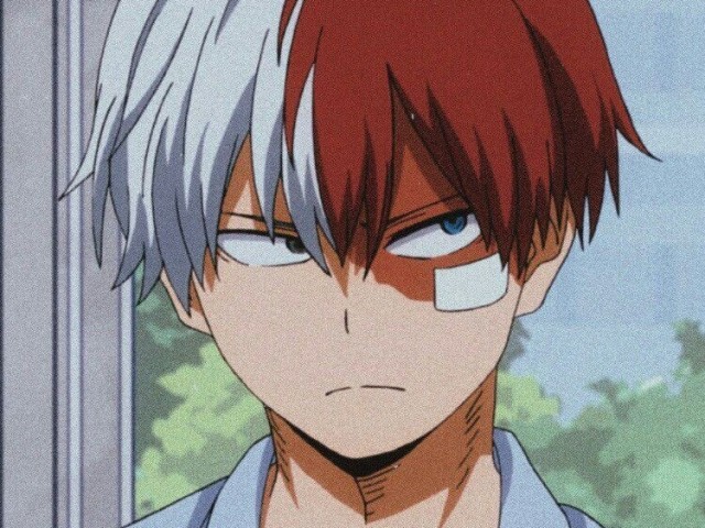 Todoroki Shoto ( Boku No Hero )