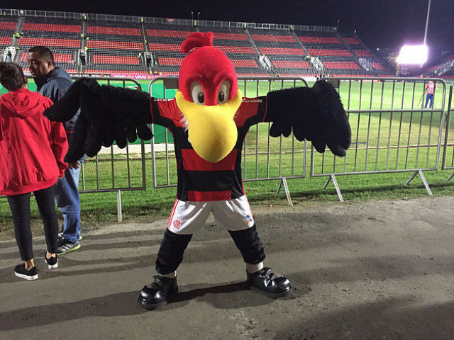 Torcedor fanático