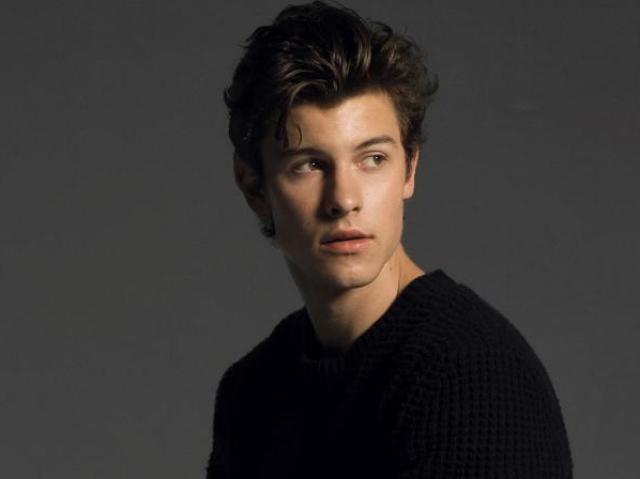 Você é realmente fã do Shawn Mendes?