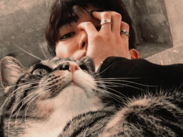 ❥Amigo dos Animais